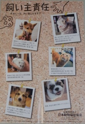 日本動物福祉協会ポスター