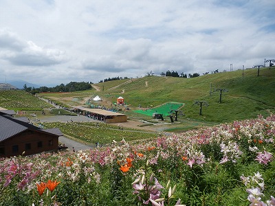 ゆり園　２０１４