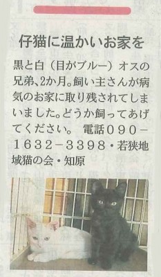 若狭地域猫の会さん　2014.9.28
