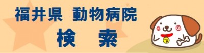 福井県内の動物病院検索