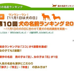 １１月１日は犬の日 福井ペット葬儀社 動物火葬場おおぞら 福井市敦賀市等福井県全域対象 犬猫等