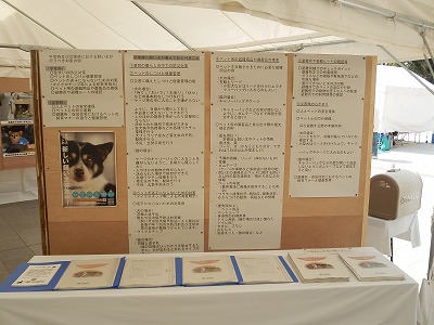 平成25年度 中央行事 動物愛護ふれあいフェスティバル54