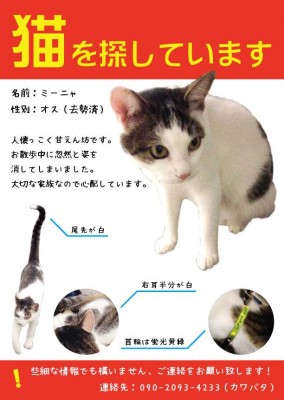 ねこさま王国　猫捜索2014.11