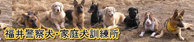 福井警察犬・家庭犬訓練所さん