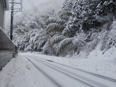 2015.1.3　大雪