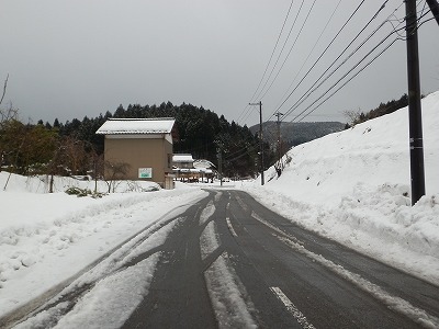 雪　2015.1.11