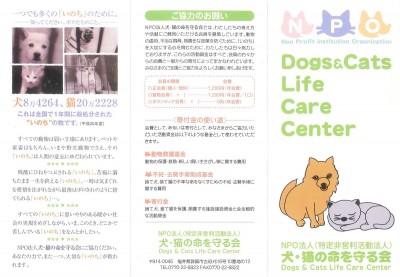 敦賀市　ＮＰＯ法人 犬猫の命を守る会さん　パンフレット