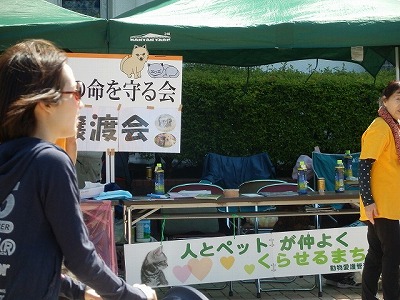 敦賀市　ＮＰＯ法人 犬猫の命を守る会さん　2015.5