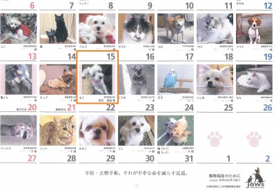 (公社)日本動物福祉協会の動物カレンダー