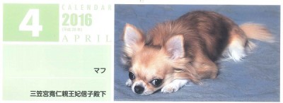 (公社)日本動物福祉協会の動物カレンダー