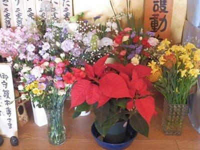 ご家族様からのお花　2015年12月