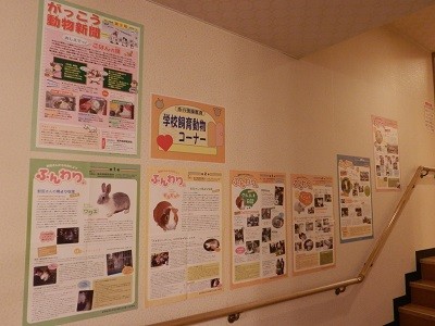 (公社)福井県獣医師会 学校飼育動物コーナー