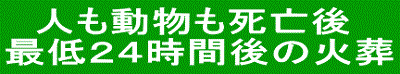 人も動物さんも２４時間後の火葬