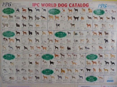 犬の系統図　グループ別