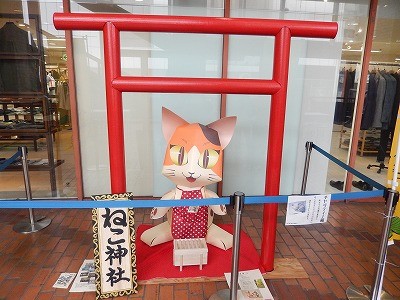 H28.5.1 ねこ祭り2