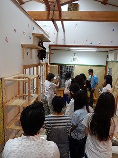 2016.7.18猫カフェcat village見学会25