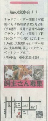 ねこさまバザー　２０１６年７月２２日