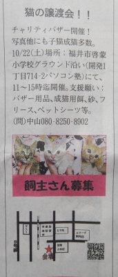 ねこさまバザー　２０１６年１０月２１日