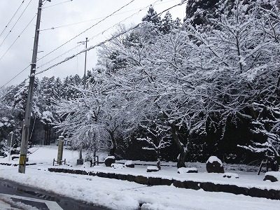 2017.1.23 おおぞら周辺の雪