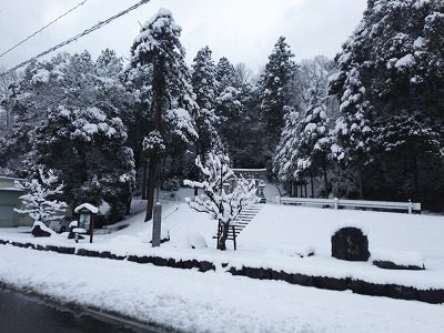2017.1.23 おおぞら周辺の雪