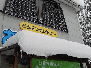 2018.1.13 大雪3
