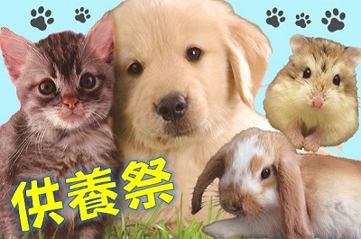犬猫供養祭｜福井ペット火葬 ペット葬儀社 おおぞら
