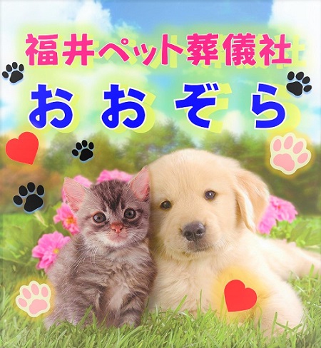 犬猫画像｜福井ペット葬儀社 おおぞら　どうぶつセレモニーおおぞら
