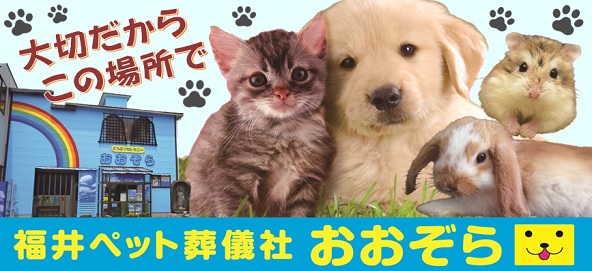 犬猫ウサギハムスター写真｜福井ペット火葬 ペット葬儀社 おおぞら