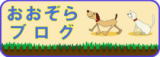 ブログ(歩録)|福井ペット火葬 ペット葬儀社 おおぞら