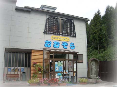 どうぶつセレモニーおおぞら外観アップ