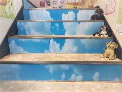 ペット 犬猫 動物さんの納骨堂 個別霊座に上がる階段